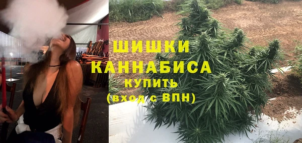трава Надым