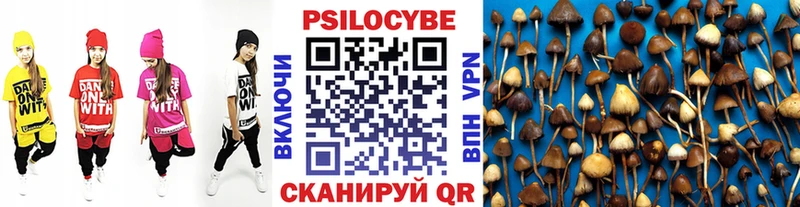 Галлюциногенные грибы GOLDEN TEACHER  Купить  Клин 